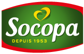 Socopa